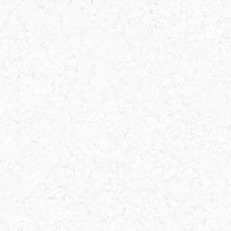 Venatino Incrivel - nyxk5pjtmwzwsp9py8wp@2x.jpg