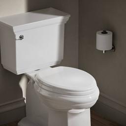 Ridgewood Elongated Molded Wood Toilet Seat with Quiet-Closeâ¢ - o3o4dccefz9qdowdtv5g@2x.jpg