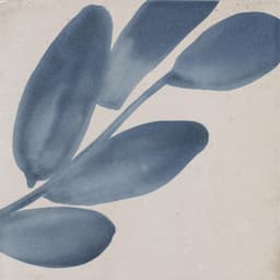 Rice Natural Deco Blossom Square 6X6 Glossy - o4svhcfnrac9gtc5mmcd@2x.jpg