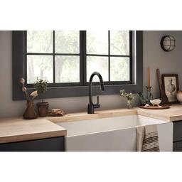 Adler Single-Handle Pull-Down Sprayer Kitchen Faucet with Reflex and Power Clean in Matte Black - o8oczavxbrlsmz6jdxxr@2x.jpg