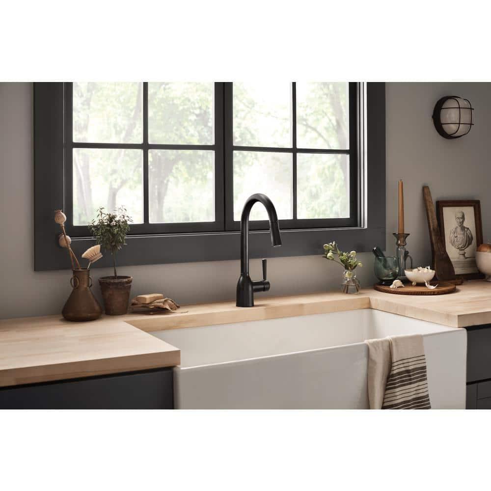 Adler Single-Handle Pull-Down Sprayer Kitchen Faucet with Reflex and Power Clean in Matte Black - o8oczavxbrlsmz6jdxxr@2x.jpg