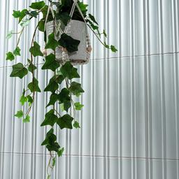 Folk sky - o95o0s5qugiw5sngpe1m@2x.jpg