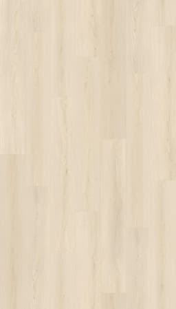 Isabella - oa1vv3joc80k3qv9ugfr@2x.jpg