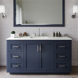 Miranda Single Bathroom Vanity - 60W x 33.75H x 22D - obbdjer5bl3ahkvyc6o7@2x.jpg