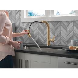 Keele 1.8 GPM Single Hole Pull Down Kitchen Faucet MagnaTite and Touch-Clean Technology - oebseu5iafa7lz37pgi1@2x.jpg