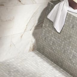 Marble Daphne White Rectangle 12X24 Honed - oekd5drvkp9jhuuxzkpm@2x.jpg