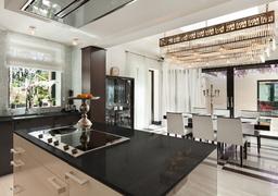 Black Pearl Granite - ofuelycoa3dj8fk3syzw@2x.jpg