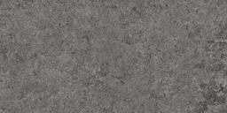 12X24 BASALT FD GRAPHITE - oght3zj07rditvve8s9s@2x.jpg