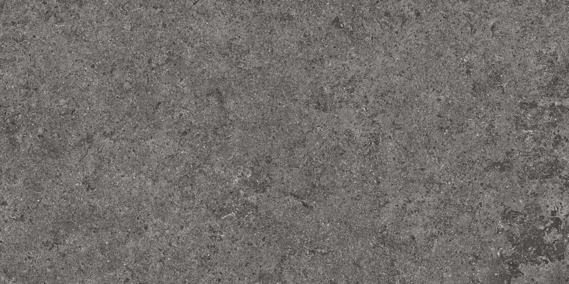 12X24 BASALT FD GRAPHITE