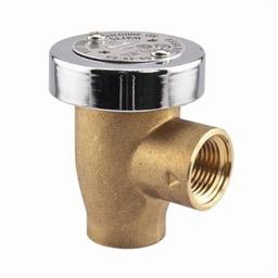 Vacuum Breaker, 1/2 in, FNPT, Brass - ogsktzc2eli6lst2axvj@2x.jpg
