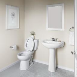 Lisbon Valley 24" Oval Vitreous China Pedestal Bathroom Sink with Overflow and 3 Faucet Holes at 4" Centers - oijb3bu8znc8cshv3o7f@2x.jpg