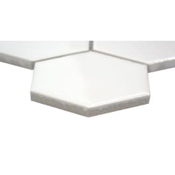 SAVVY WHITE GL 2" HEX/MO - oipjuaqebsf8622t3shr@2x.jpg