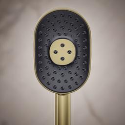 Statement 1.75 GPM Multi Function Hand Shower with MasterClean Sprayface and Katalyst Air Induction Technology - oiqrvcxovzbdxjh5wusi@2x.jpg