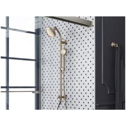 Artifacts 1.75 GPM Single Function Hand Shower with MasterClean Sprayface - okhy92ug0ary0wna6jyu@2x.jpg