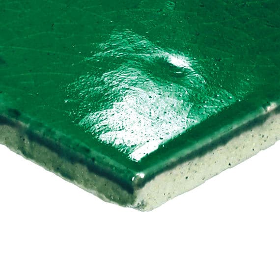 Natural Hues Fern Square 12X12 Matte - okv6t4klhqmfpq4tenps@2x.jpg