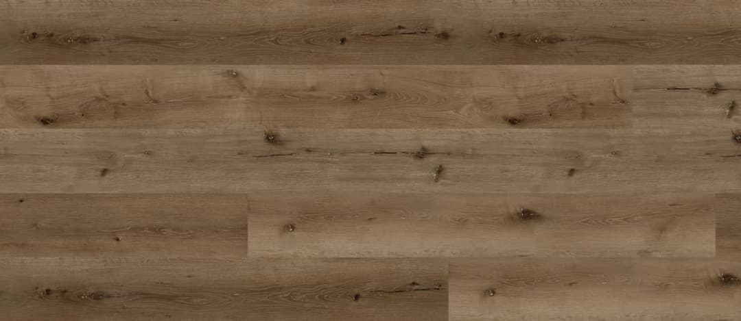 Bear Oak - okzv1m7dnuhupixxw6js@2x.jpg