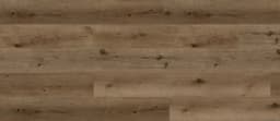 Bear Oak - okzv1m7dnuhupixxw6js@2x.jpg