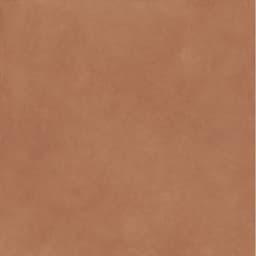 CLAYTONE TERRA R11 47X47 - ol9ndqcxbjcqxr73boxy@2x.jpg