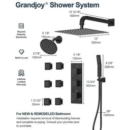 GRANDJOY ZenithRain Thermostatic Dual Showers 8-spray 12 in. Shower System with Hand Shower in Matte Black Valve Included SGF10GJ-17-BL12 - oln2ekbjsu6d4hwcaq0i@2x.jpg