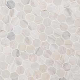 Angora Polished 2" Hexagon Mosaic Tile - omhktomv0jitsgr2htkw@2x.jpg