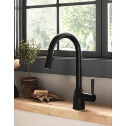 Adler Single-Handle Pull-Down Sprayer Kitchen Faucet with Reflex and Power Clean in Matte Black - ommptbbzq17k585uvs4z@2x.jpg