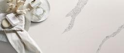 Calacatta Venice® - omvyiexubnqct0otnzm7@2x.jpg