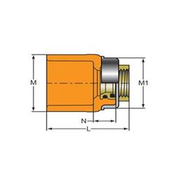 FlameGuard® TorqueSafe™ Adapter, 3/4 x 1/2 in, Socket x Brass FNPT, CPVC - onj6baj3t6uwwnucpnnx@2x.jpg