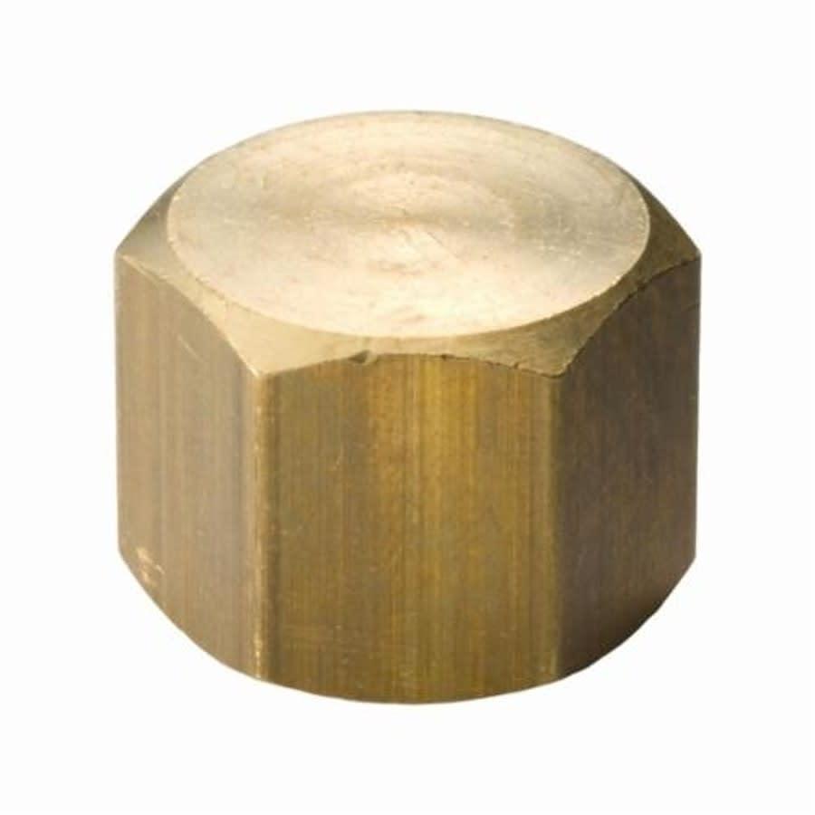 Cap, 1/4 in, FNPT, Lead Free Brass, Rough Brass, Domestic - onkmzdvjr3u3sjewft6b@2x.jpg