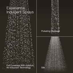 Forte 1.75 GPM Multi-Function Shower Head - oovb4fdlscle44jra2xu@2x.jpg