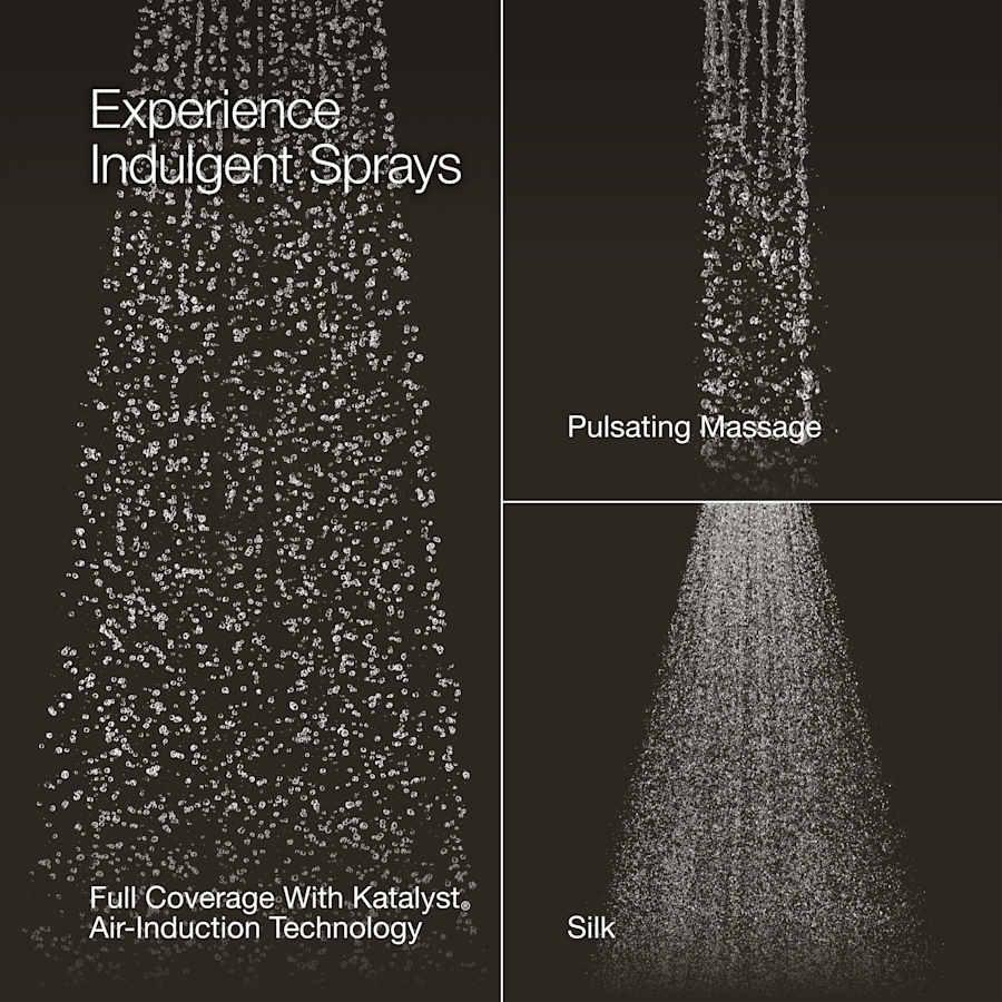 Forte 1.75 GPM Multi-Function Shower Head - oovb4fdlscle44jra2xu@2x.jpg