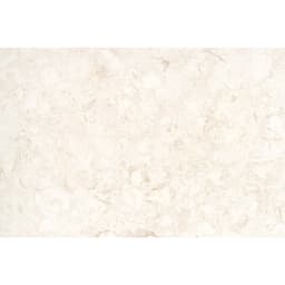 EXTERO SHELLSTONE 16X24 3CM - ooweybjps4slpissnkms@2x.jpg