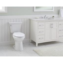 Viper® Toilet Bowl, Floor Mount, 10 in Rough, ADA, Elongated, White - oqbulzzcyfngngnci94d@2x.jpg