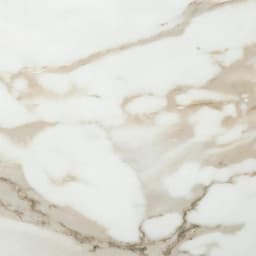 Platinum Magnolia Rectangle 12X24 Matte - ornzd4355mfcb59sluef@2x.jpg