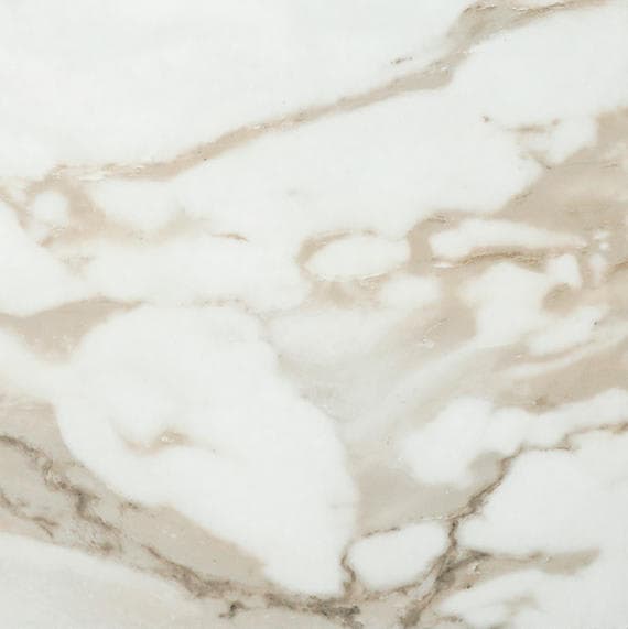 Platinum Magnolia Rectangle 12X24 Matte - ornzd4355mfcb59sluef@2x.jpg