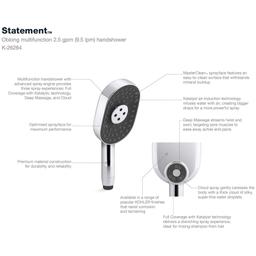 Statement 2.5 GPM Multi Function Hand Shower with MasterClean Sprayface - otyvcqroi5lsof4uhejg@2x.jpg