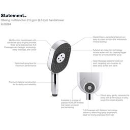 Statement 2.5 GPM Multi Function Hand Shower with MasterClean Sprayface - otyvcqroi5lsof4uhejg_x500.jpg