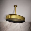 Statement Oblong 12" Single Function 2.5 GPM Rainhead with MasterClean Sprayface and Katalyst Air-Induction Technology - owthfe8v3cavktcnwkw7@2x.jpg