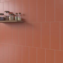 Color Wheel Linear Matte Orange Burst Rectangle 2X8 Matte - oxsreno4ztpd8akqbiux@2x.jpg