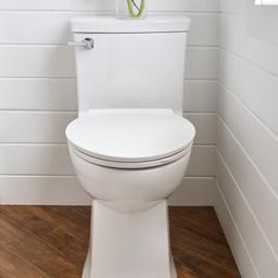 Townsend 1.28 GPF One-Piece Elongated Comfort Height Toilet with Left Hand Tank Lever and Seat Included - oy0c48oi2vvinadyqply@2x.jpg