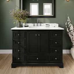 Deborah Single Bathroom Vanity - 48W x 35H x 22D - ozfro2yjdvkqsffsz4jo@2x.jpg