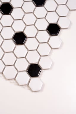 1x1 White and Black Hexagon - ozig8mypvpt7sog0t4ab@2x.jpg