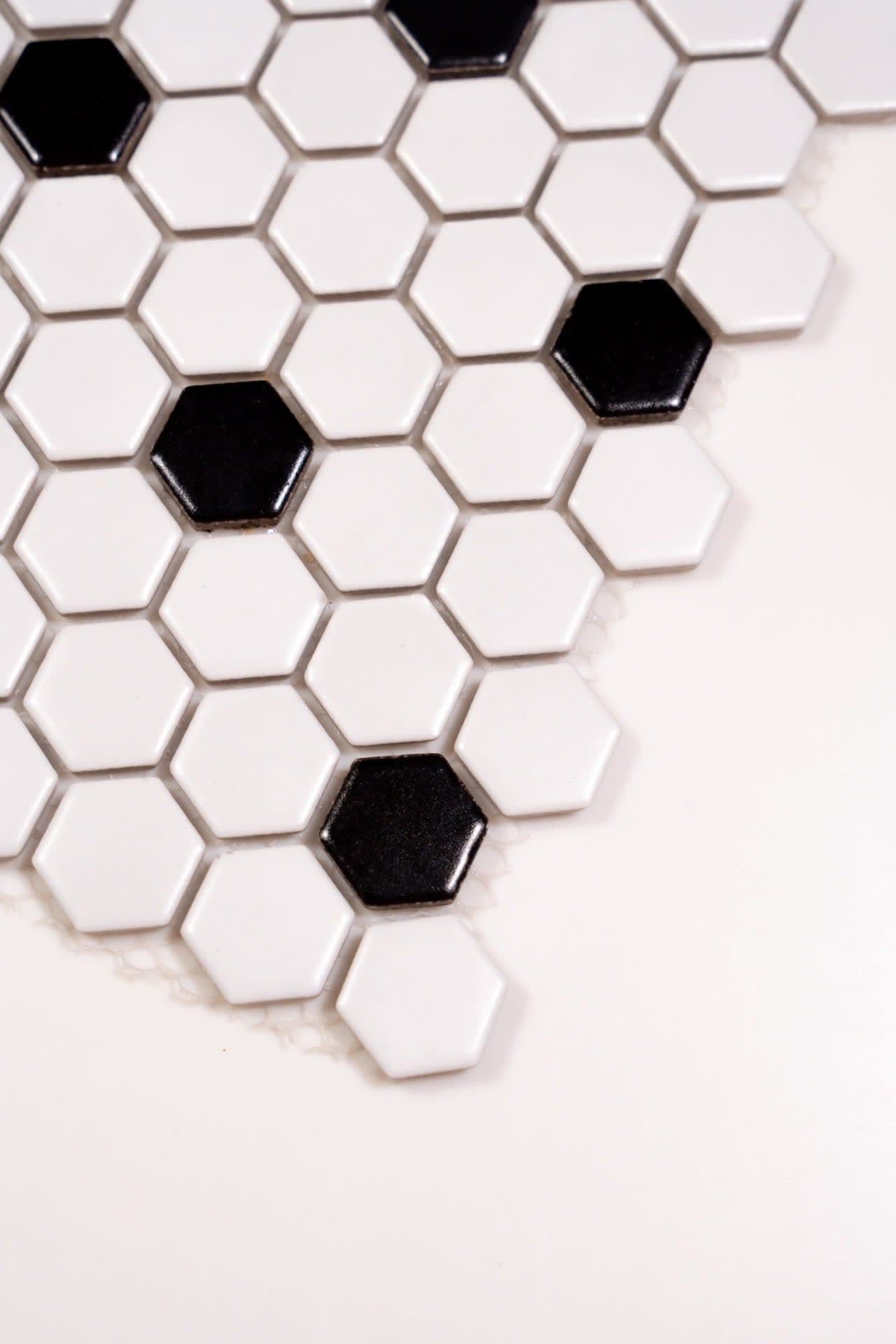 1x1 White and Black Hexagon - ozig8mypvpt7sog0t4ab@2x.jpg