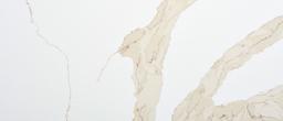 Pre Fab Calacatta Leon Gold - p1wbjmyi1gzok3dwrg4o@2x.jpg