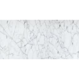 MARBLE BIANCO GIOIA PL 12X24 - p4lzoamtu248qwecz45n@2x.jpg