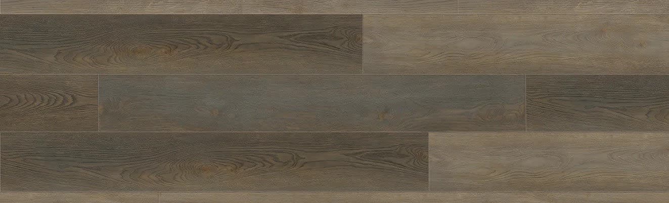 Northern Oak