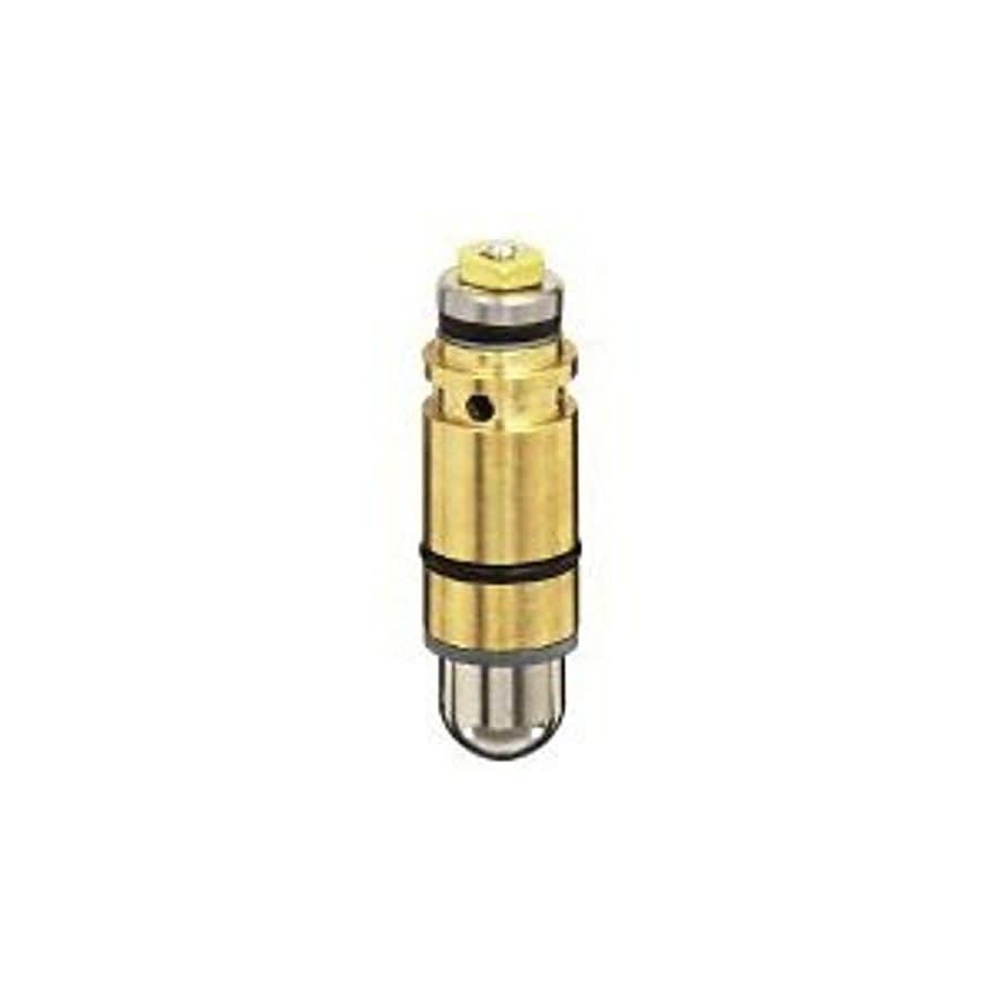 Foot Valve Cylinder Kit, Stainless Steel - pb3o3rhrxticorb3eclf@2x.jpg