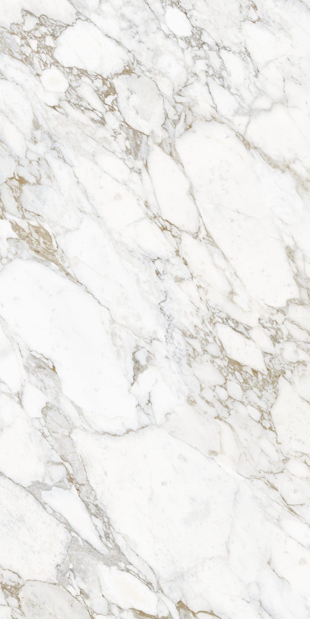 Arabescato Gold Lucidato B Match Face A - pbgvhhzbfafbxirrpvqj@2x.jpg