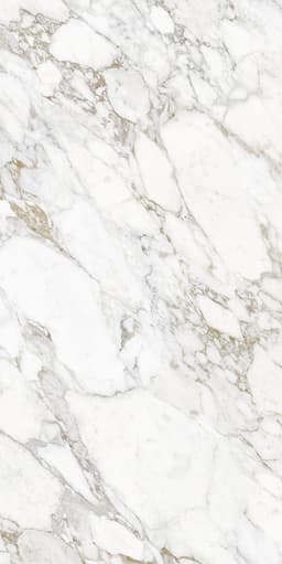 Arabescato Gold Lucidato B Match Face A - pbgvhhzbfafbxirrpvqj@2x.jpg