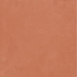 CLAYTONE CORAL MT 47X47 - pbvld1qa0sptvox1ydgo@2x.jpg