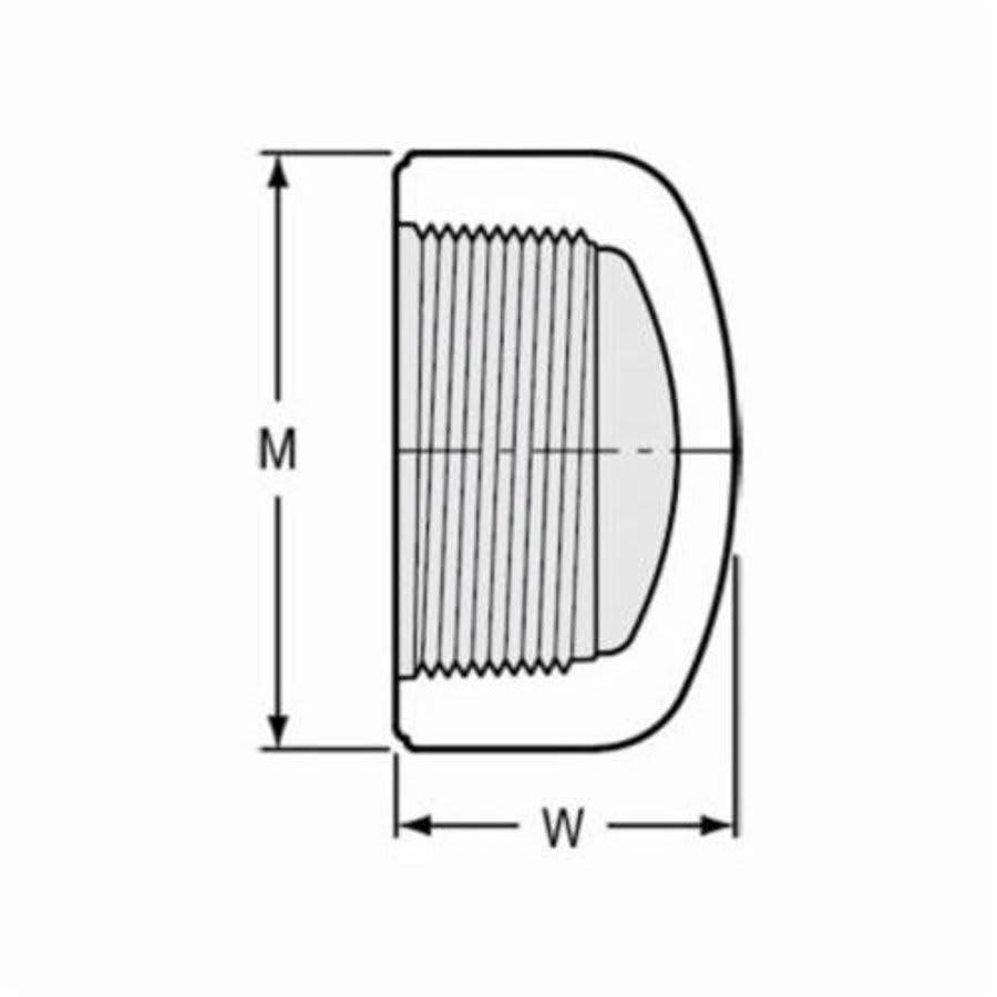 Cap, 5 in, FNPT, SCH 40/STD, PVC - pdnavm2zvlkpvdqqk8eg@2x.jpg